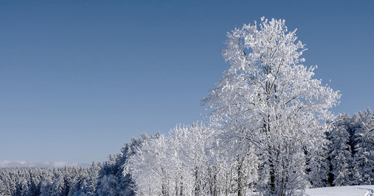 Reliable power and extraordinary service for today and tomorrow Polk